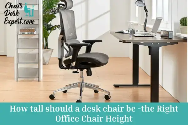 How tall should a desk chair be -the Right Office Chair Height