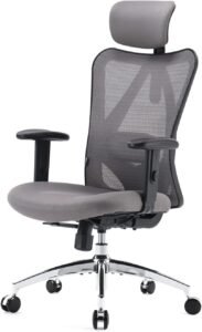 SIHOO M18 Ergonomic Office Chair for Big and Tall People Adjustable Headrest