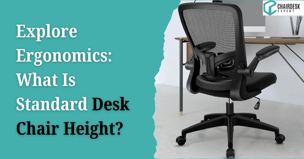 Explore Ergonomics What Is Standard Desk Chair Height
