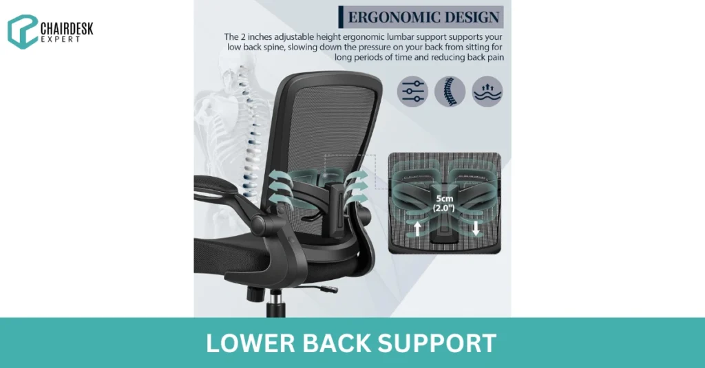 Lower Back Support