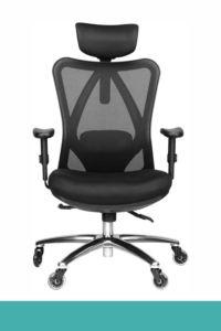 Duramont Ergonomic Office Chair