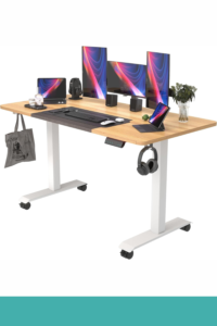 2: Monomi Electric Standing Desk​