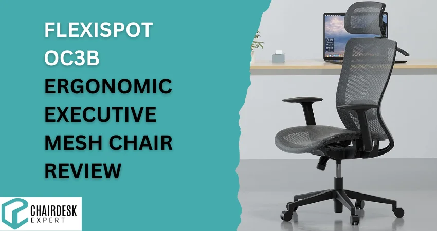 Flexispot OC3B Ergonomic Executive Mesh Chair Review