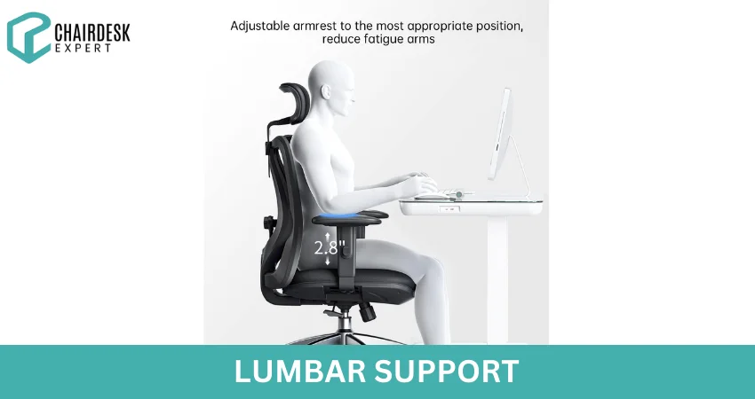 Lumbar Support