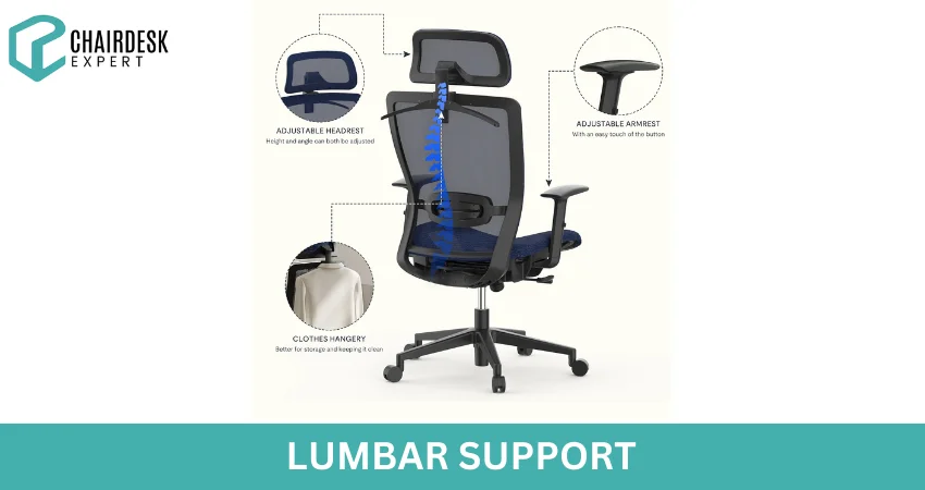 Lumbar Support
